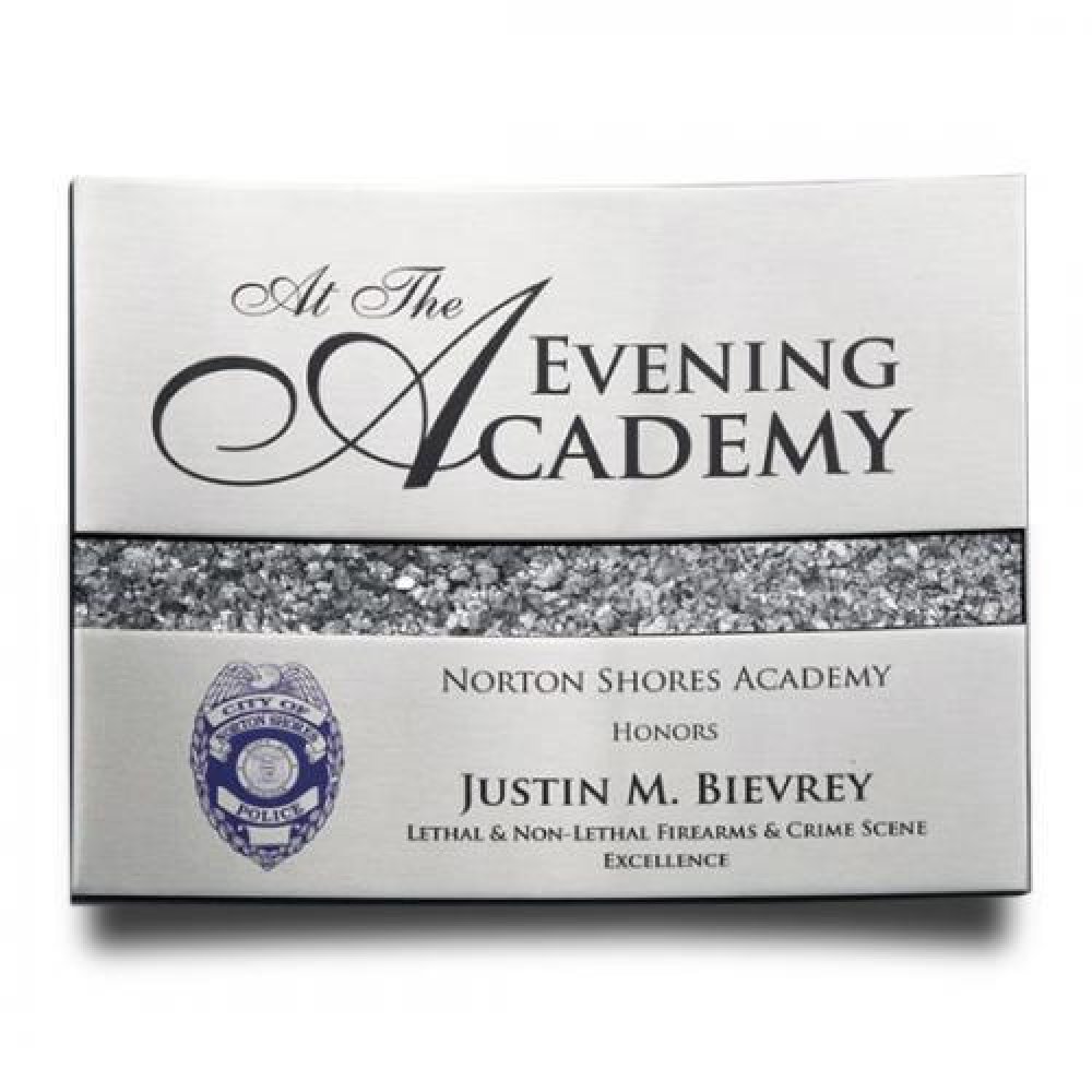 Curve Plaque — Silver 8" x 10" x 1"