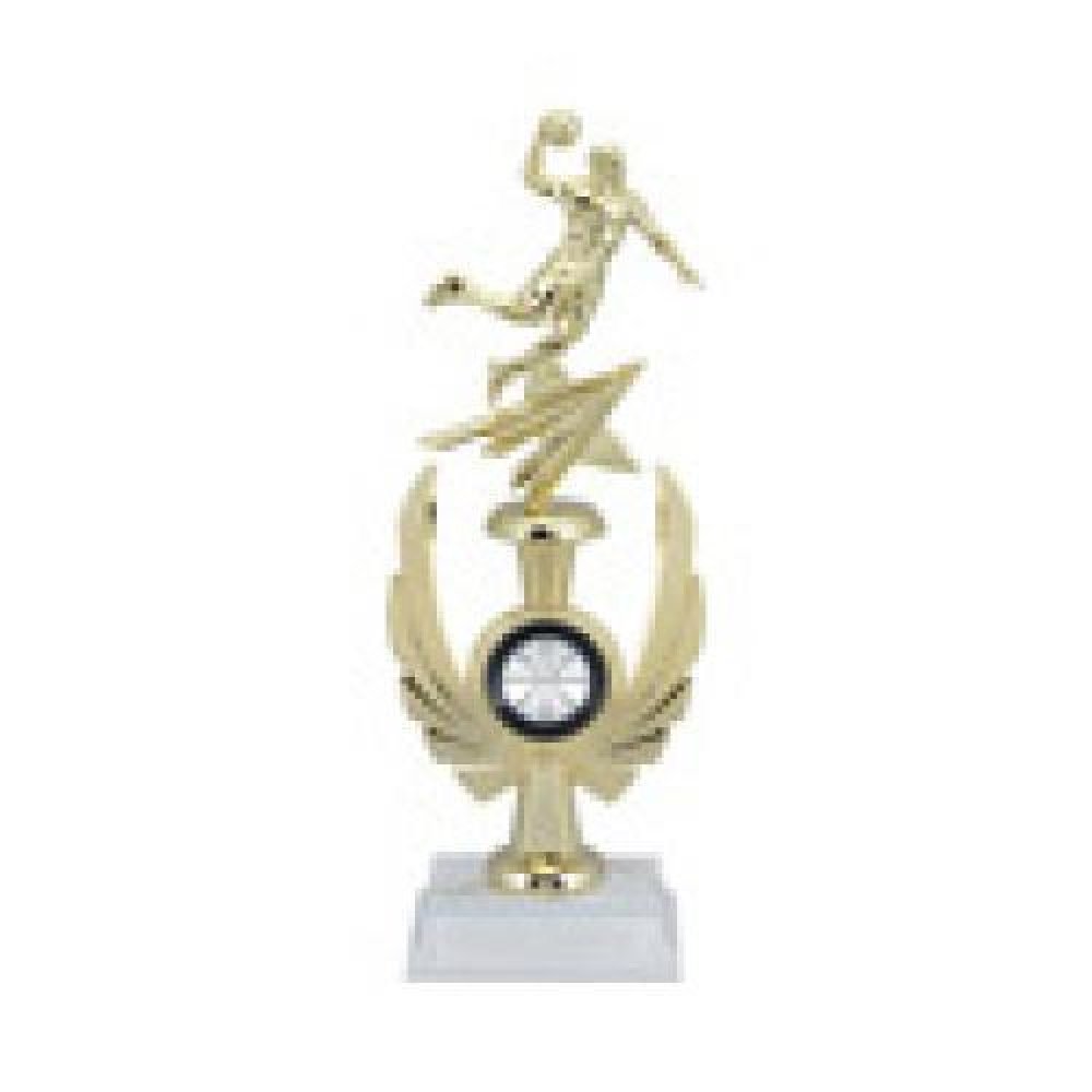 Phoenix Award -Basketball Male — Phoenix Basketball Male 13 14"