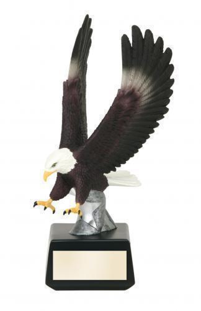 Color Strike Award -Eagle — Color Strike Eagle