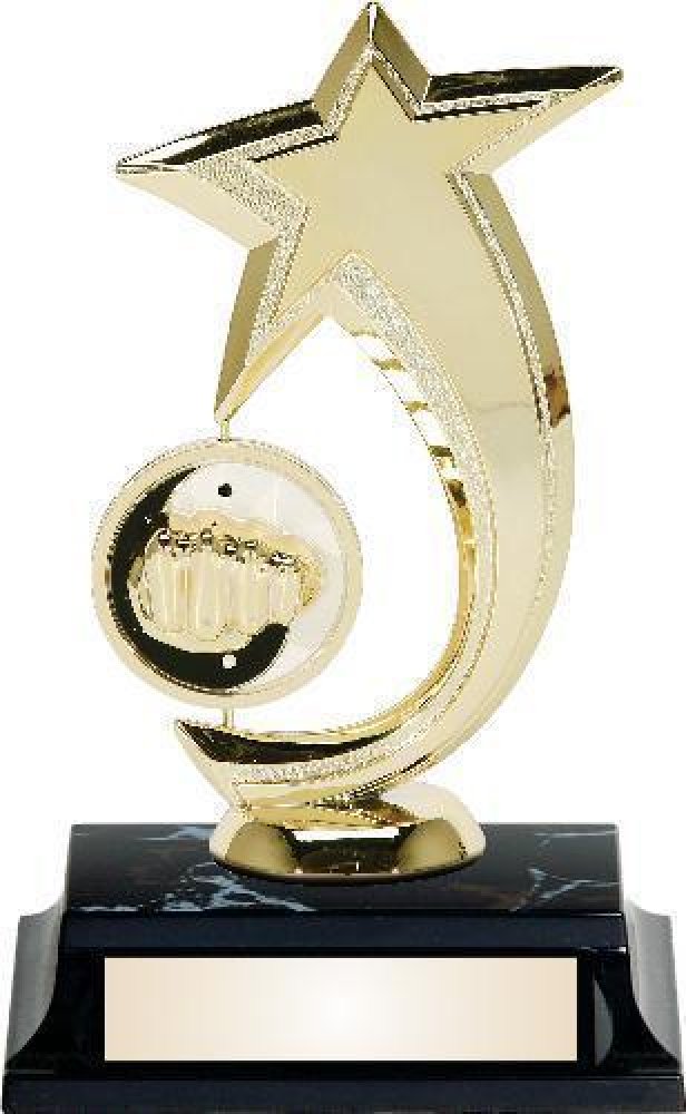 Star Spin Trophy -Karate — 7" tall