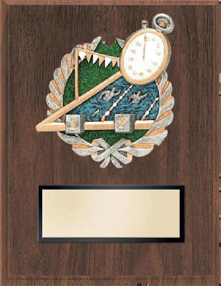 Swimming Resin Plaque Mount Award — Swimming Plaque 6" X 8"