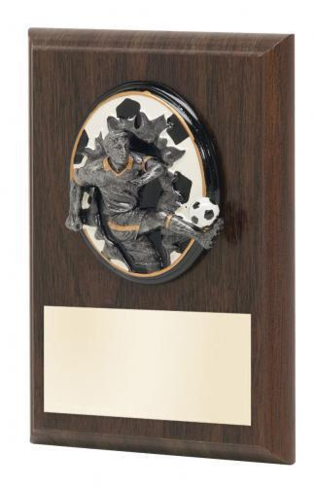 Soccer Female Sport Blaster Plaque — Soccer Female 7" X 9" Plaque