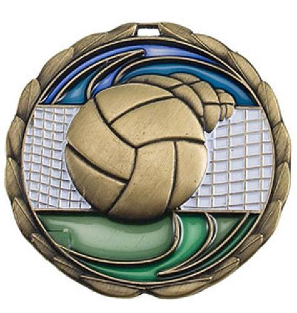 CEM Medal -Volleyball — 2 1/2" - Gold