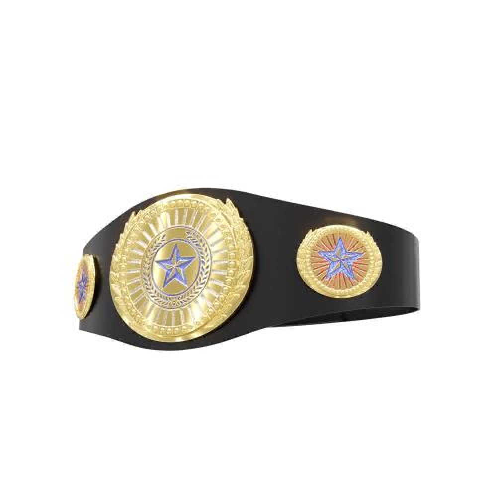 Lightweight Championship Belt with Side Plates — 40" Long - Bright Gold Plating