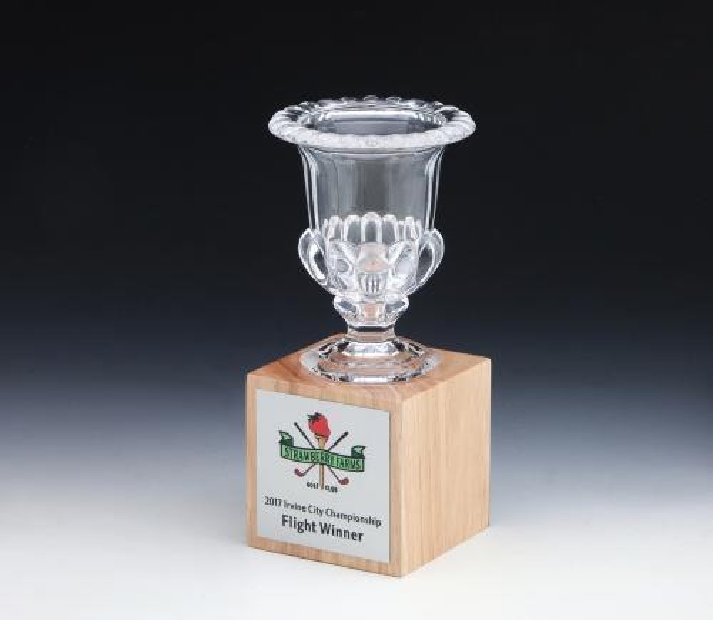 Bubble Cup Award — 4-1/4"W x 4-1/4"D x 9-1/2"H