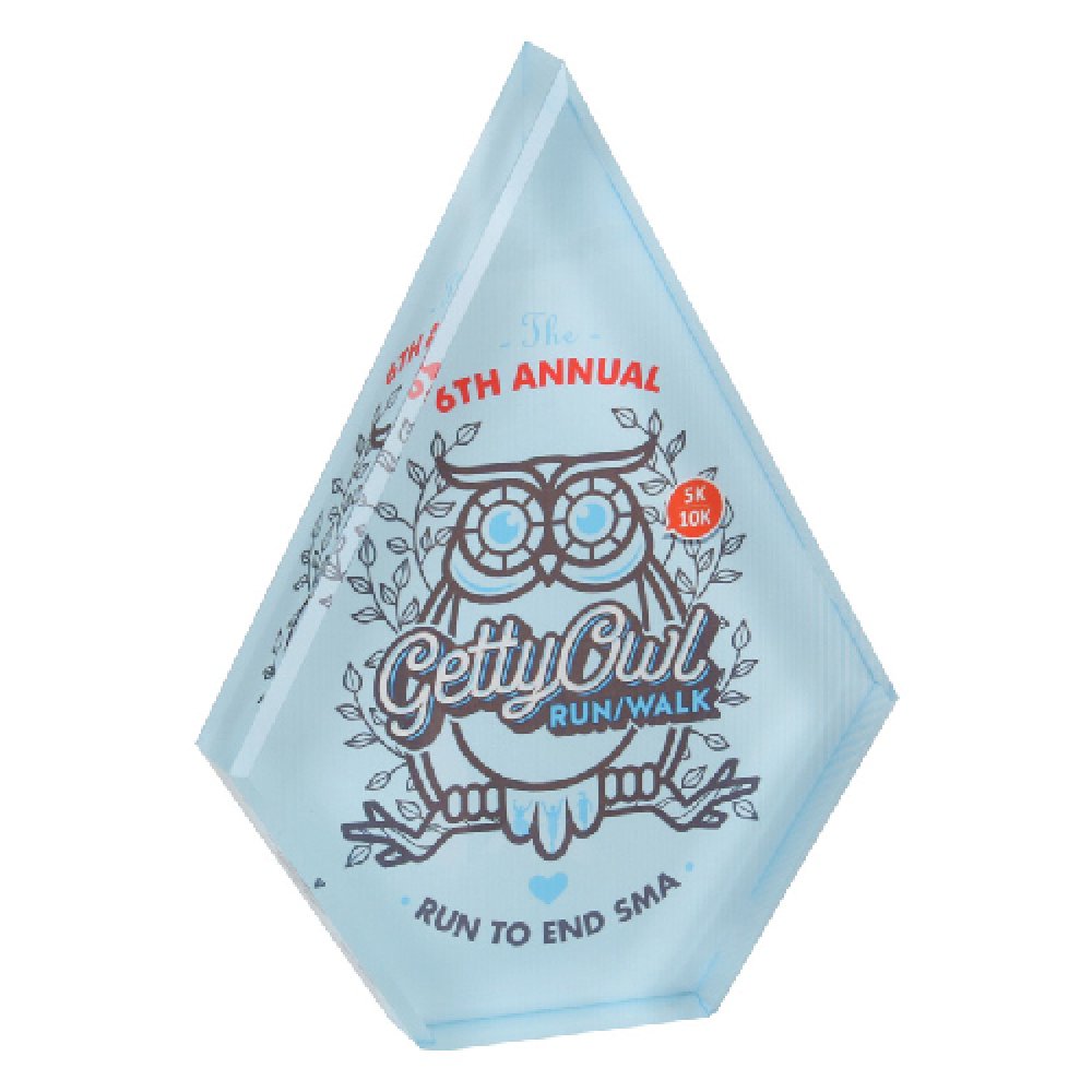 Sublimation Arrow Award — Arrow Acrylic 6" x 4" X 1"
