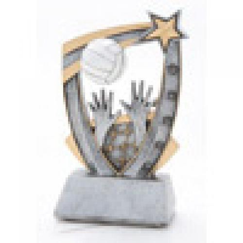3-D Star Resin Award -Volleyball — Volleyball