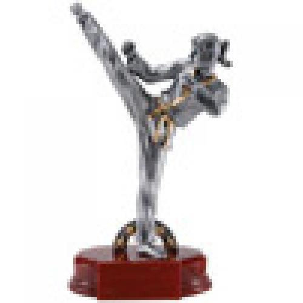 Karate Resin Awards — Female 8 3/4"