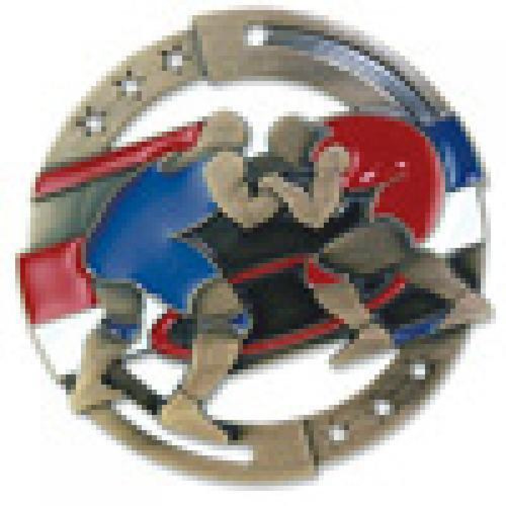 M3XL Series Medals -Wrestling — Gold 2 3/4"