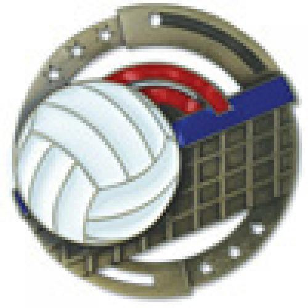 M3XL Series Medals -Volleyball — Silver 2 3/4"