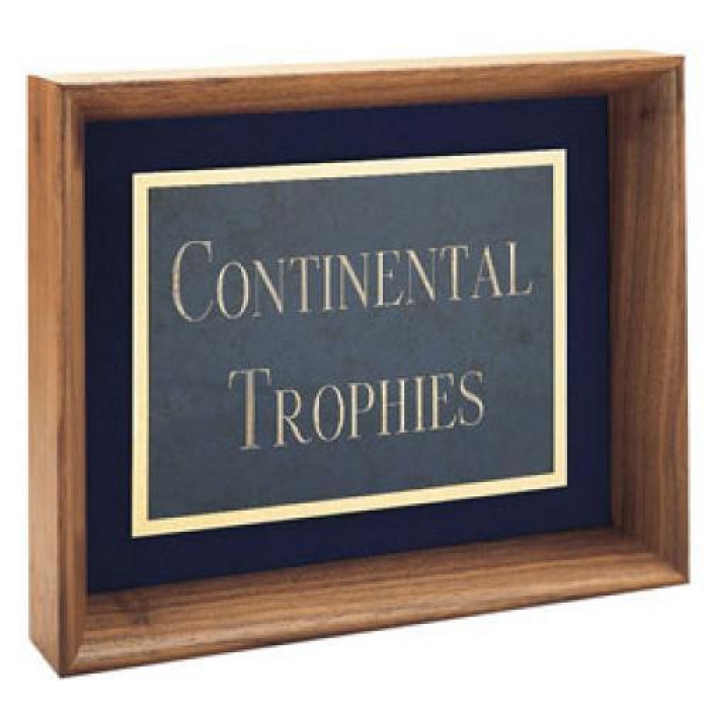 Walnut Shadow Box 8 — 8"X10"