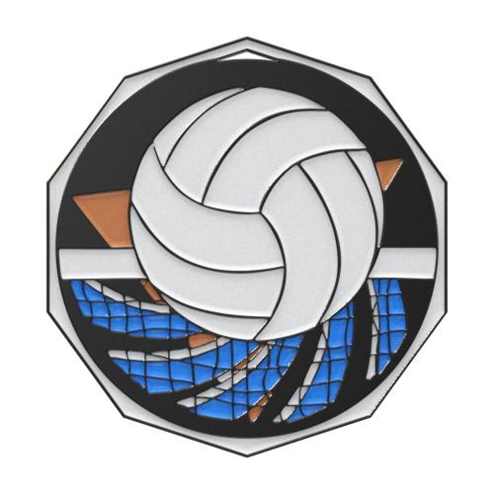 DCM Medal -Volleyball — 2" - Black