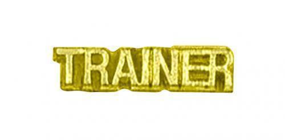 Trainer Chenille Pin — Chenille Pin