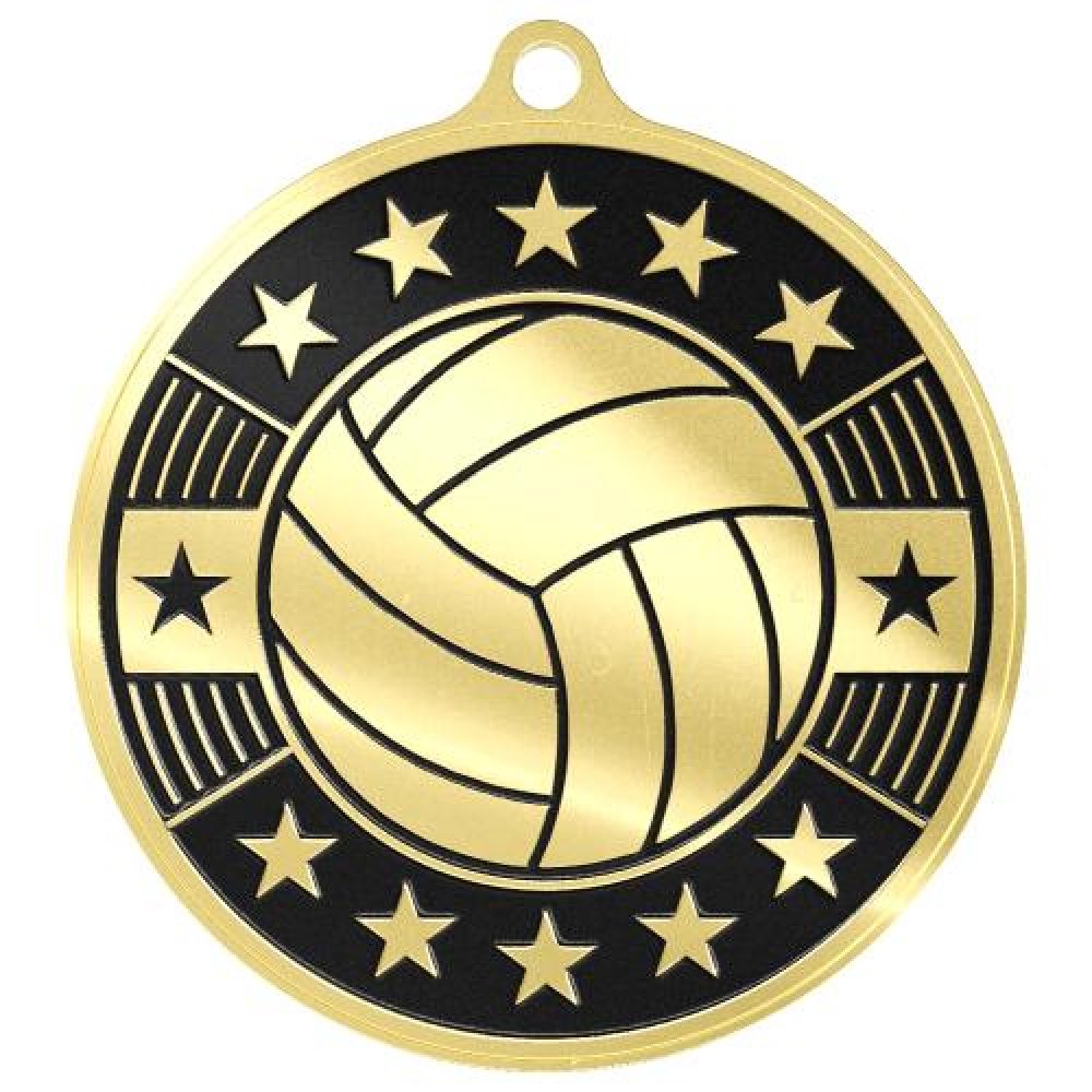 Simucast Medallion -Volleyball — Bright Bronze