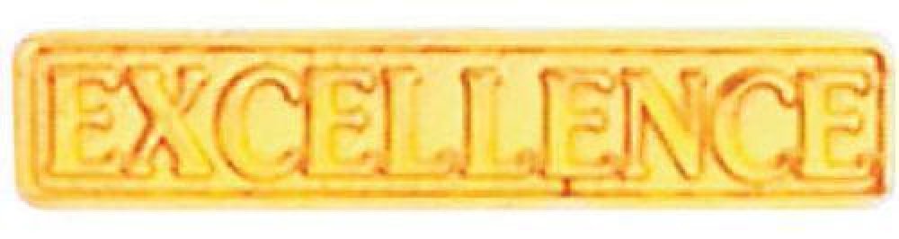 Excellence Pin — 1" - Gold
