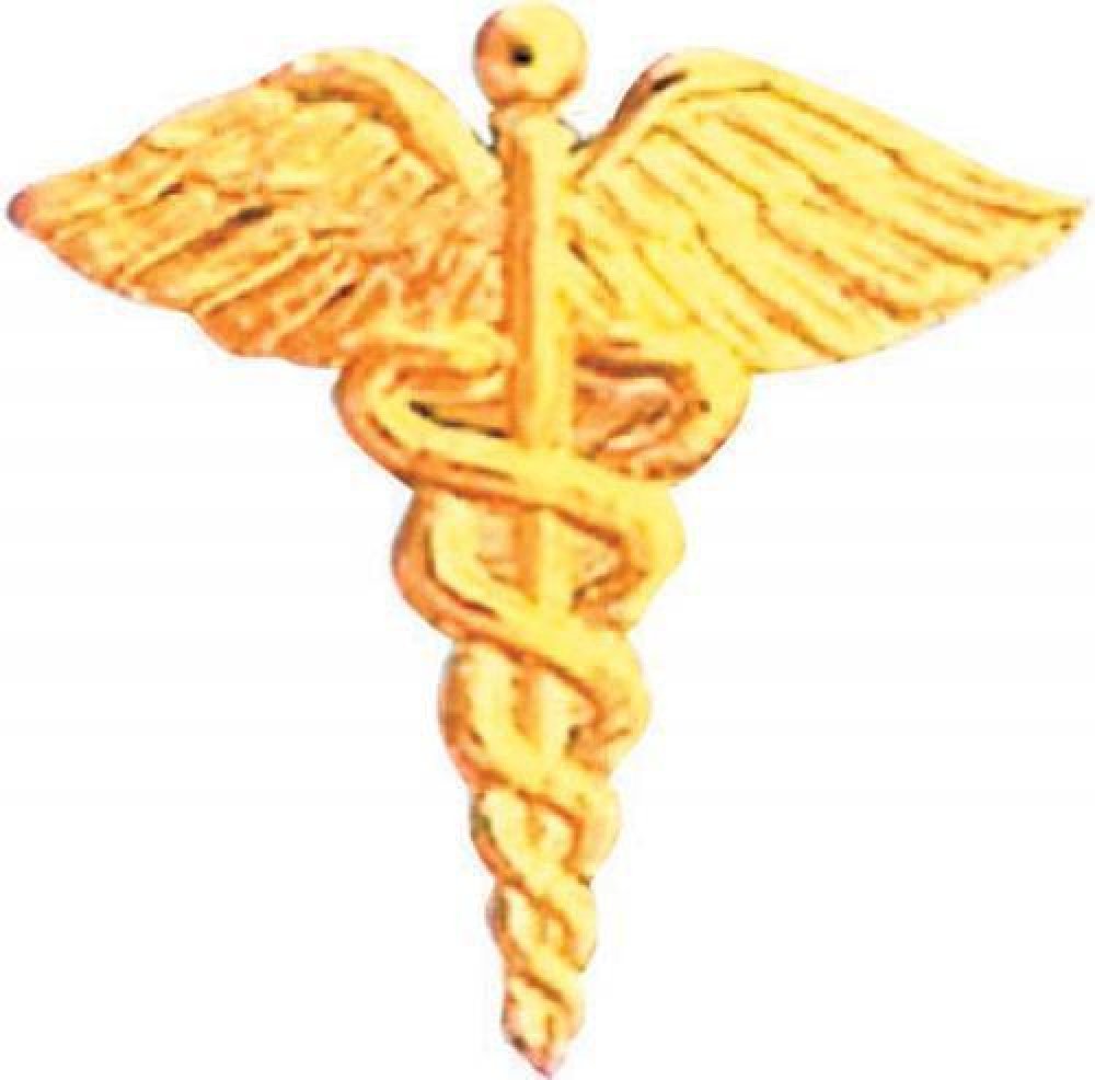 Caduceus Pin — 7/8" - Gold