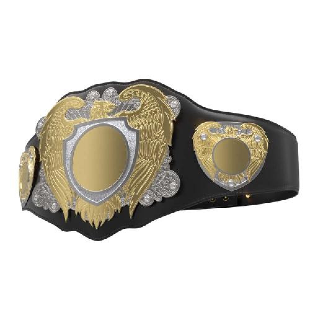 Bright Gold & Silver Legion Belt with Black Leather — Bright Gold & Silver Legion Belt w/ Black Leather