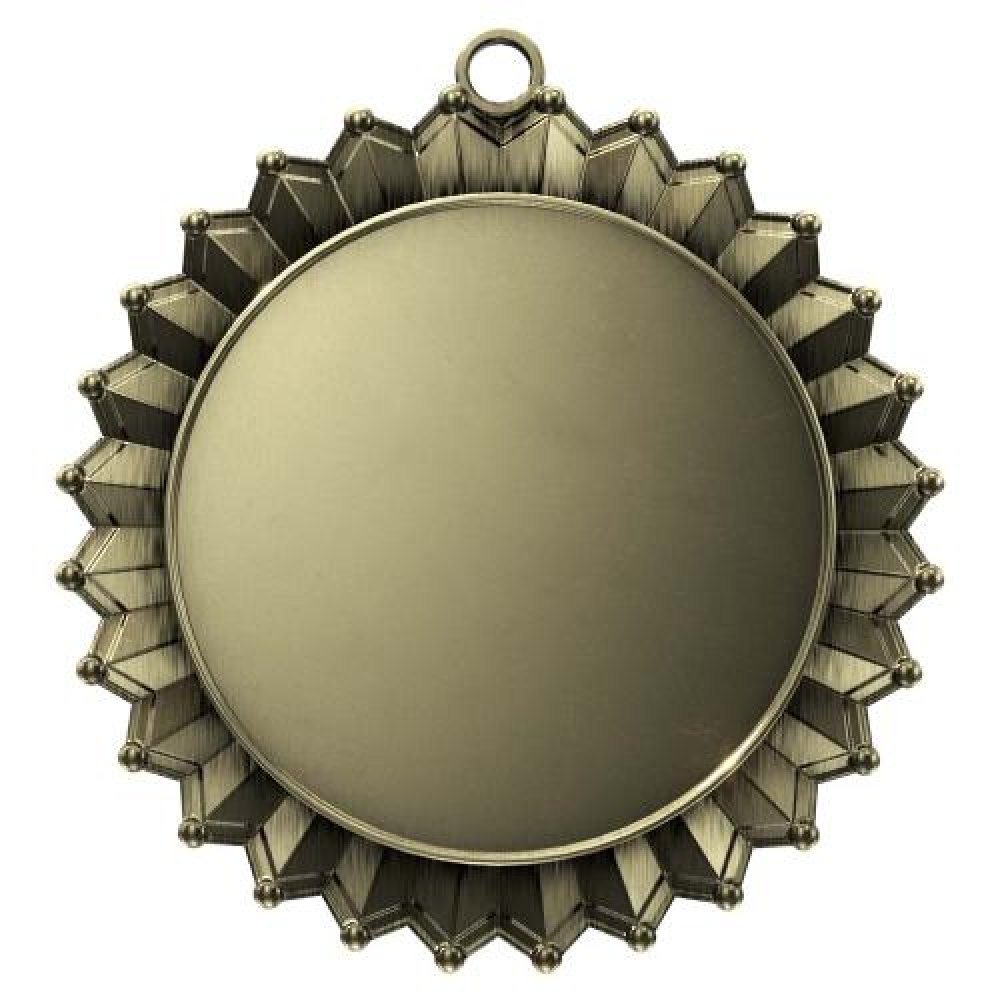 Insert Medal — 2 3/4" antique silver insert medal