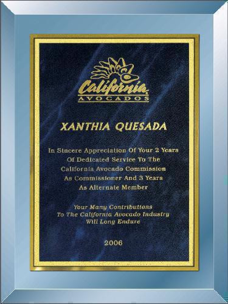 Blue Mirror Plaque — 8" x 10"