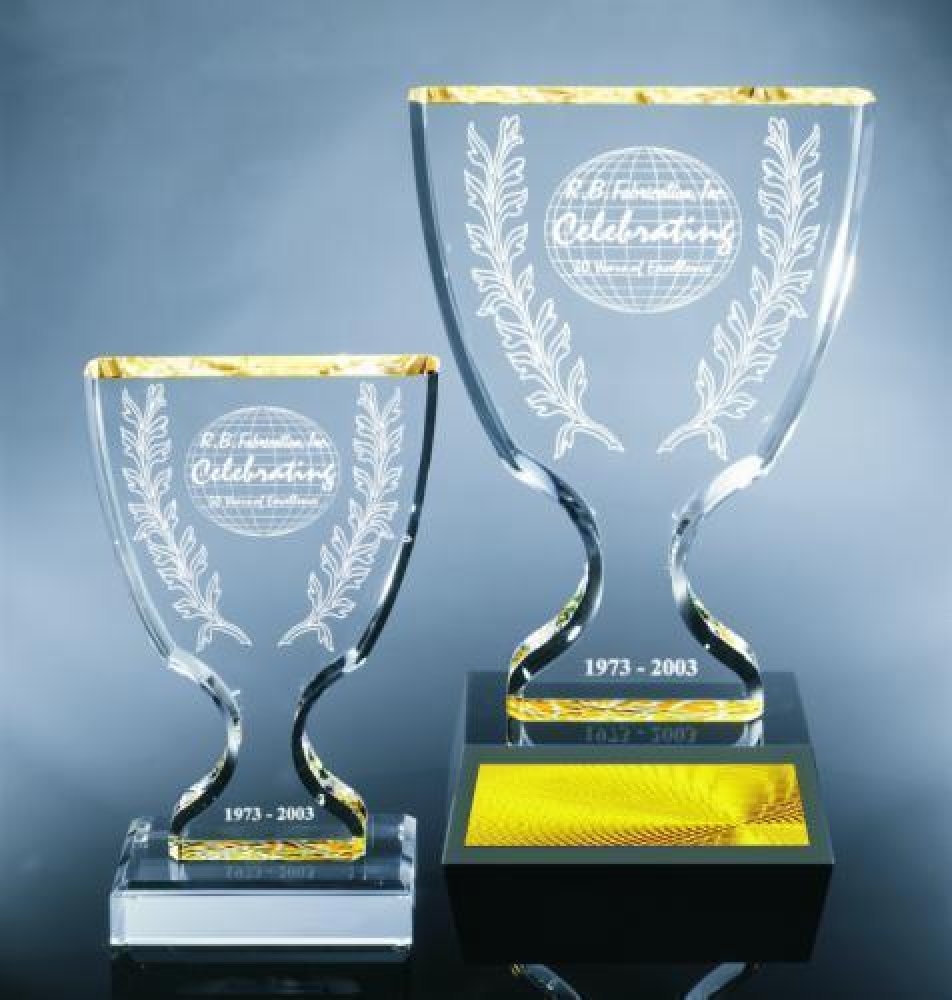 Trophy Cup — 8" wide x 11" tall x 1-1/4" thick.
