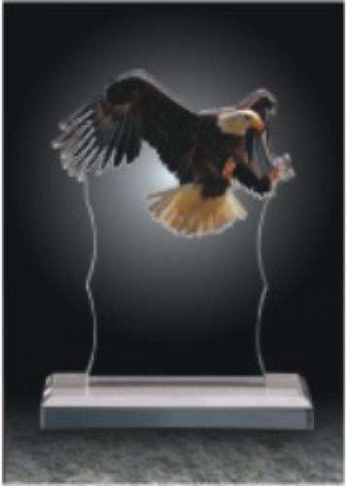 Eagle Landing Acrylic Award — 5" x 7" x 3/4"
