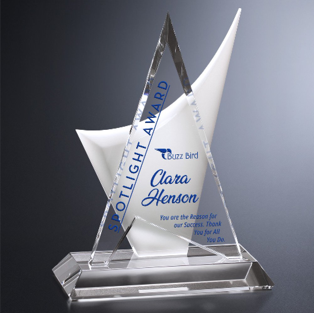 Enterprise Award — 6-1/4" W x 8-1/2" H x 3-1/4" D