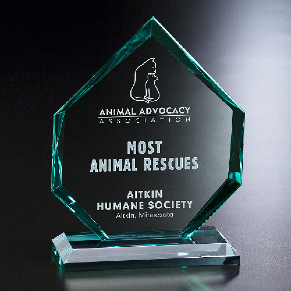 Titan Award — 6-3/4" W x 8-1/4" H x 2-1/4" D