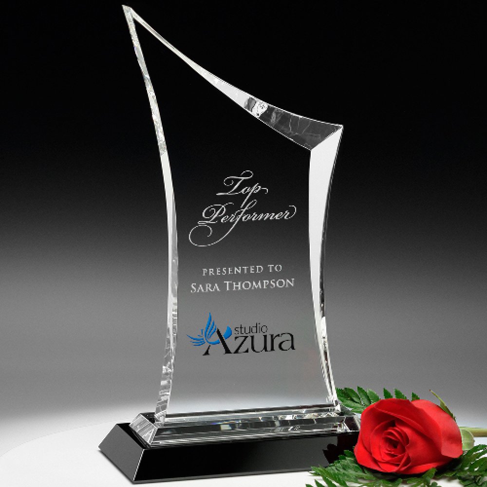 Coburn Award — 7" W x 12" H x 3-1/4" D