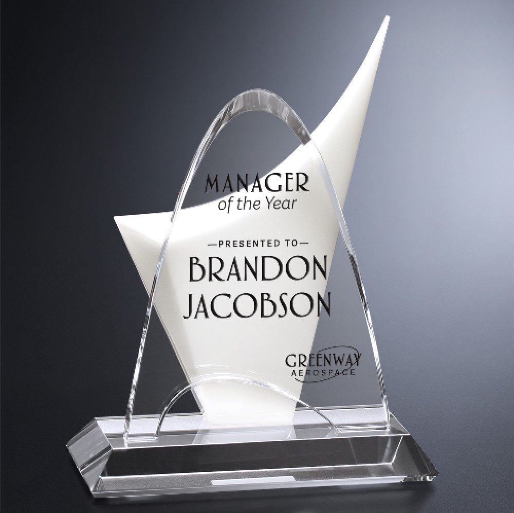 Discovery Award — 7-3/4" W x 10" H x 4" D