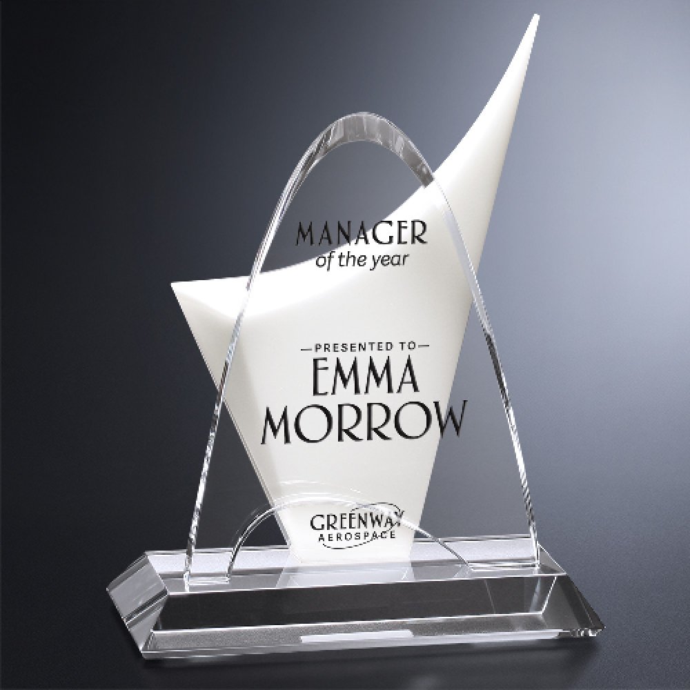 Discovery Award — 9" W x 11-3/4" H x 4-1/2" D