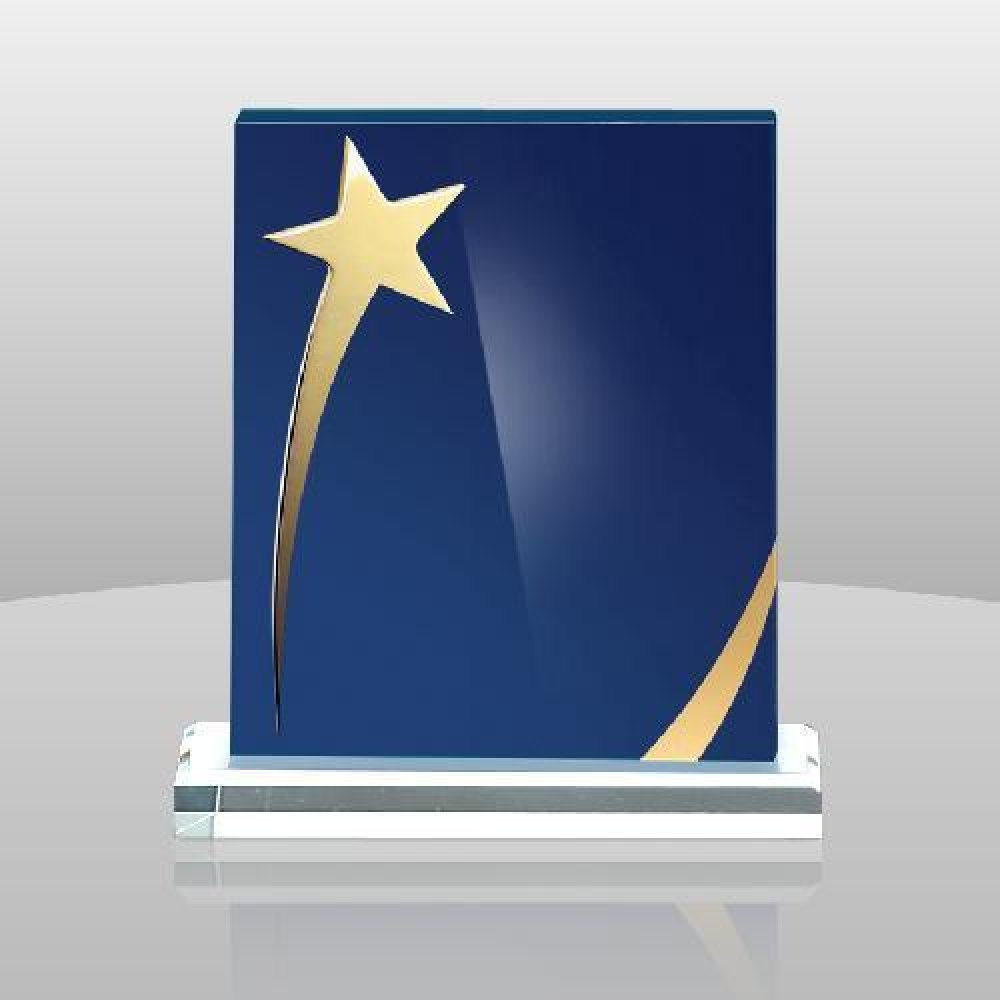 Shining Star Award — 10" x 8" x 2"