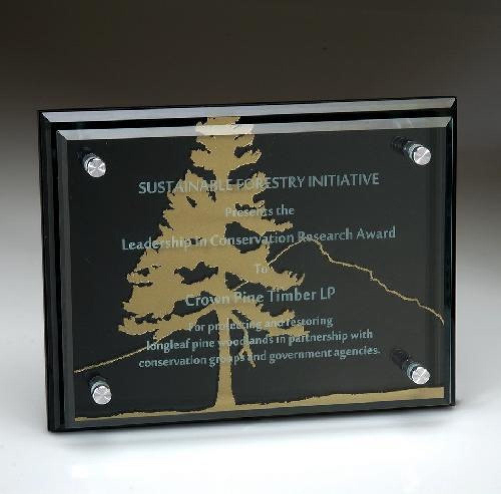 Black Glass Plaque with Glass Layer — 7" x 9"