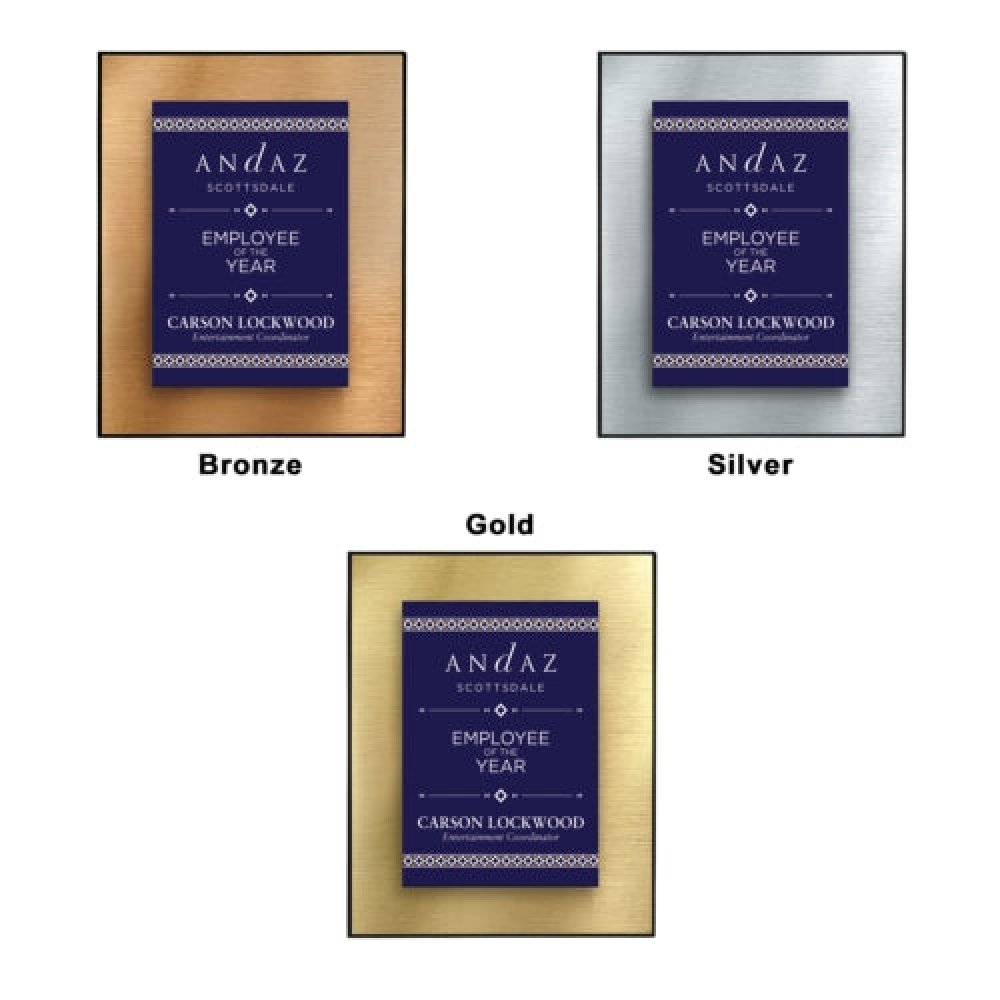 Cosmopolitan Metal Face Wall Plaque -Small — 8" x 10" x 1" Color: Bronze