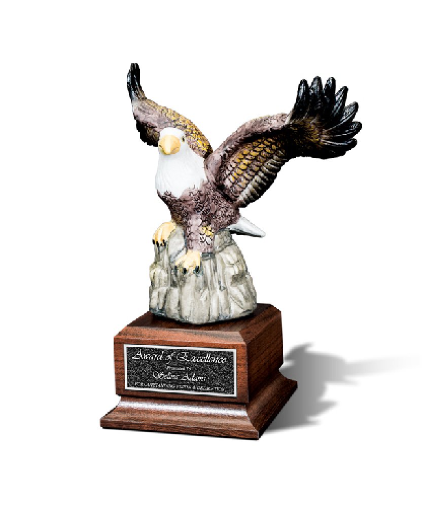 Eyrie — 8.00 x 10.50 x 6.00