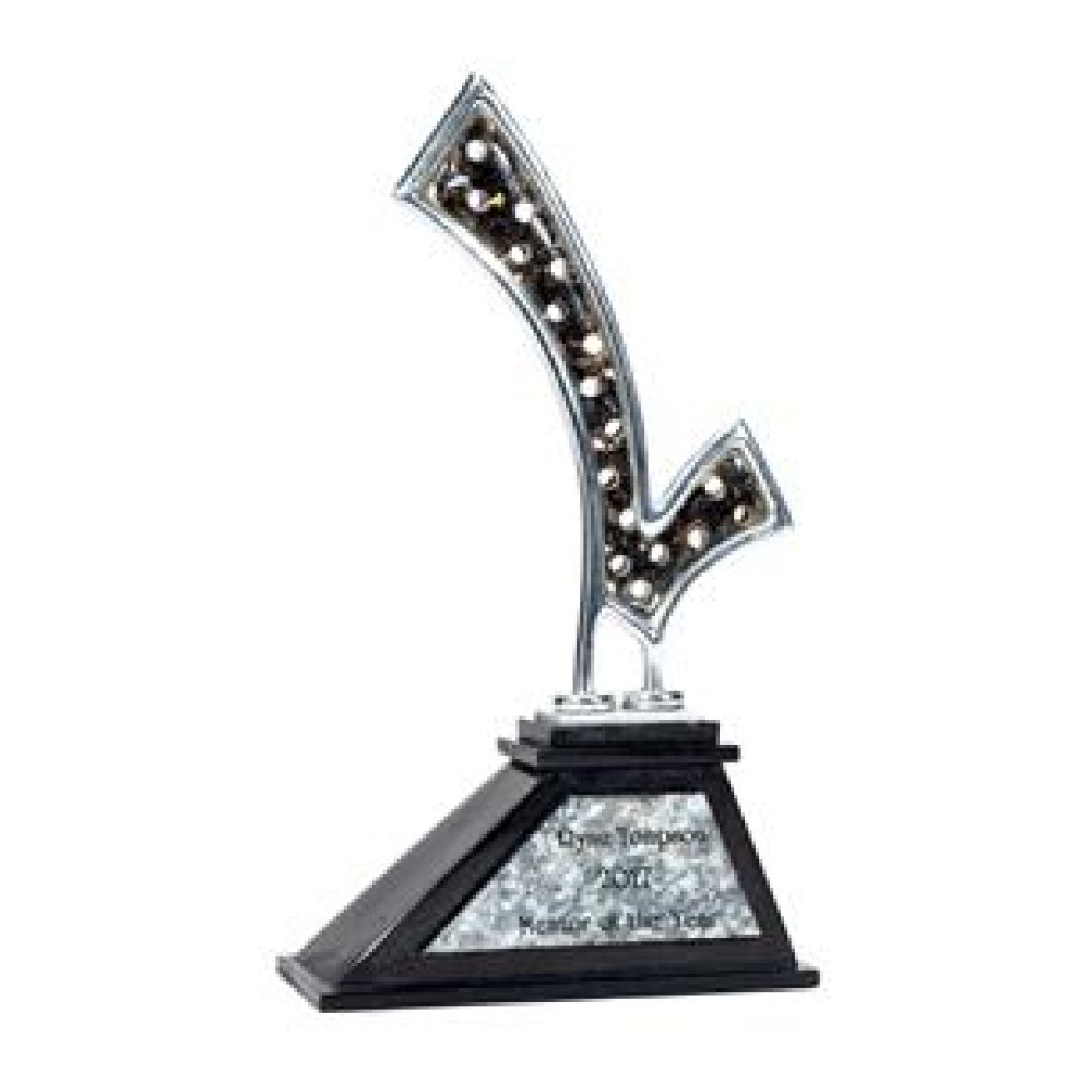 Mark of a Winner — 6.75 x 11.75 x 2.50