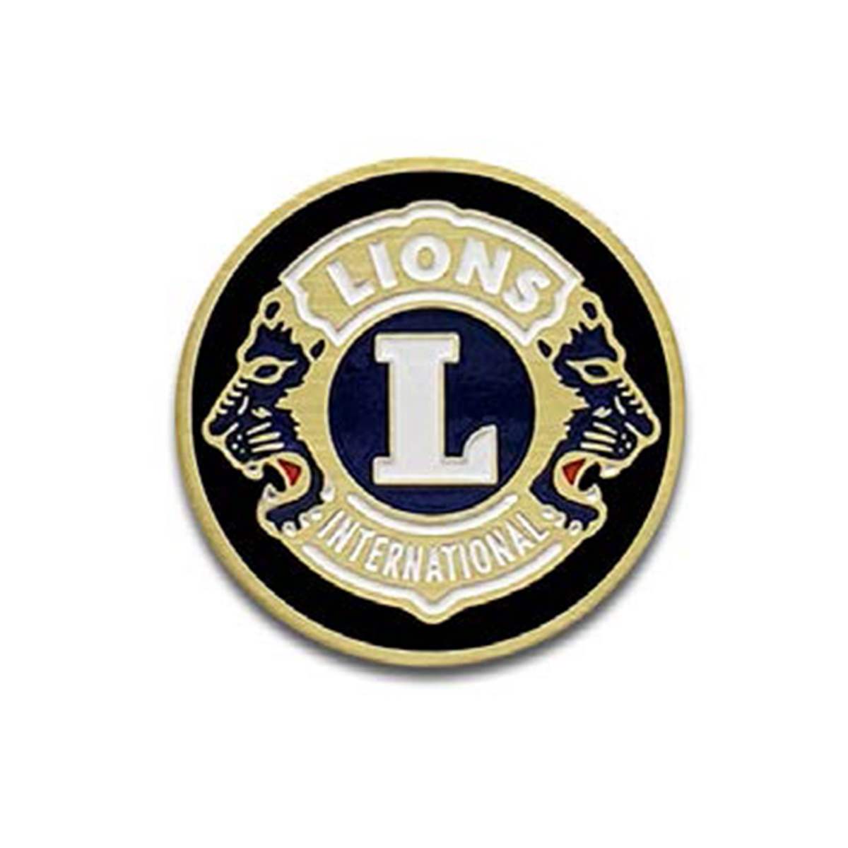 Photo Etched Lapel Pins