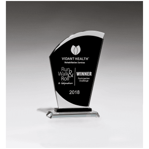 Sail Shaped Glass Award with Black Center
