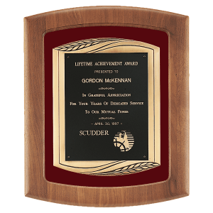 Walnut Frame w/Maroon Velour Backing/Antique Bronze Frame and Black Brass Plate