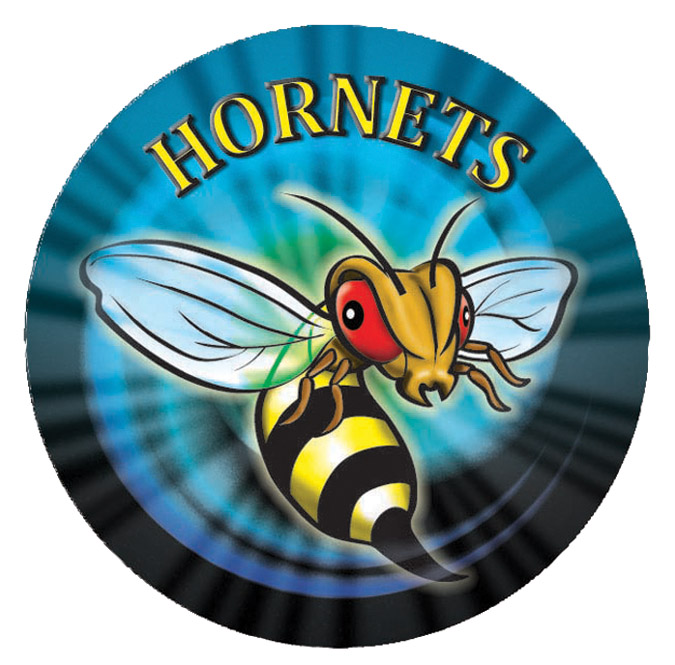 2" MASCOT MYLAR HORNET 100 STD PACK