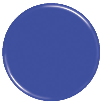 2" BRASS MEDALLION BLUE 25 STD PACK