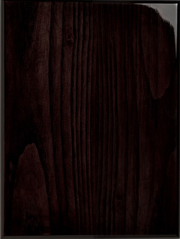 DARK ROSEWOOD PLQ 8X10 12 STD PACK
