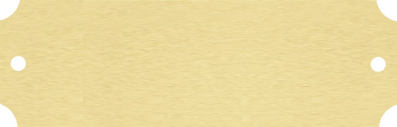 SATIN BRASS 3.125" x 1" 100 STD PACK