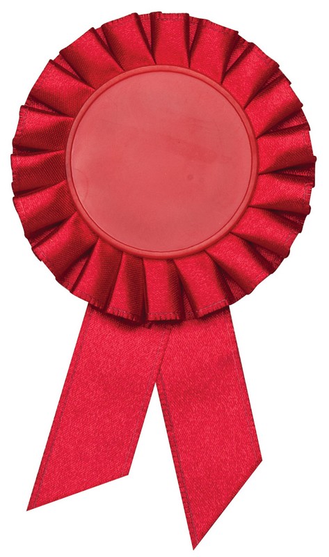 ROSETTE PIN RED 2" H 50 STD PACK
