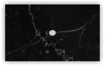 BLACK MARBLE LID 2" X 3" 80 STD PACK 5760 SKID