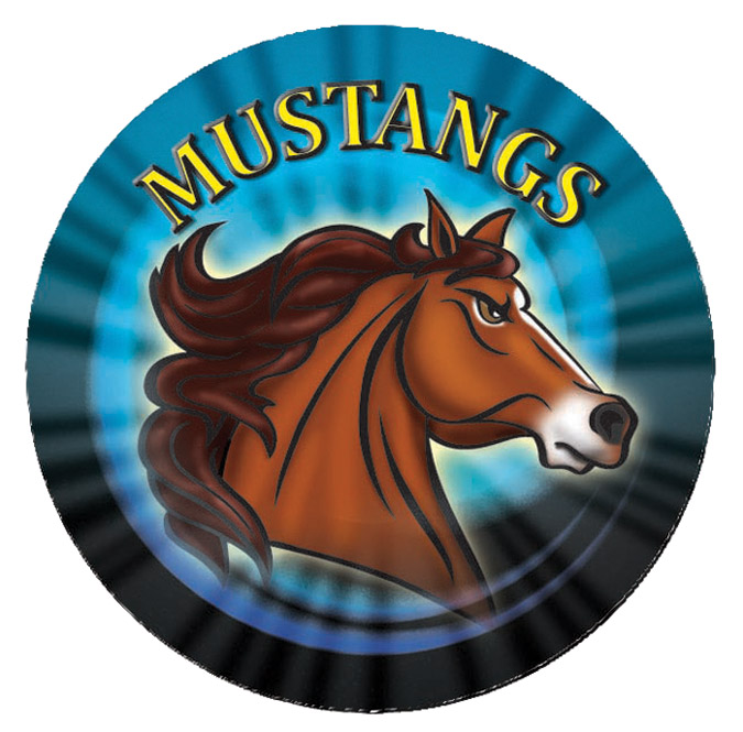 2" MASCOT MYLAR MUSTAN 100 STD PACK