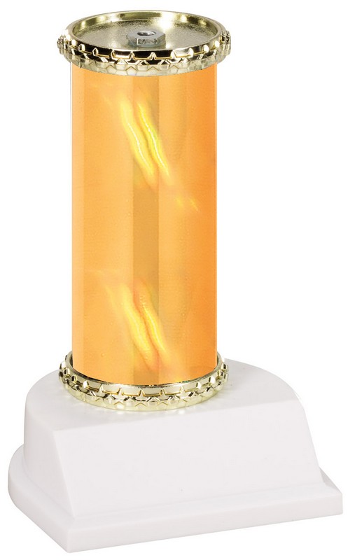 ASSM TROPHY NO FIG 4"GL 24 STD PACK