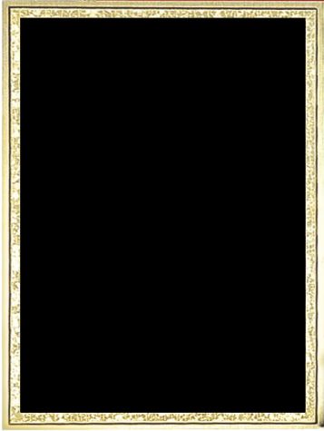 STEEL BLACK/GOLD 6X8 6 STD PACK