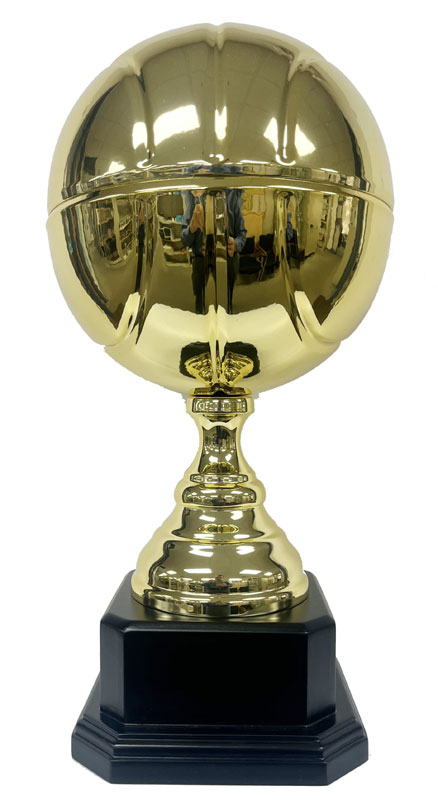 GOLD BASKETBALL 17¼" 4 STD PACK
