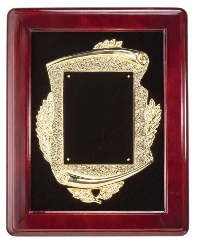RSWD FRAME W GLD FRM 1 STD PACK ~