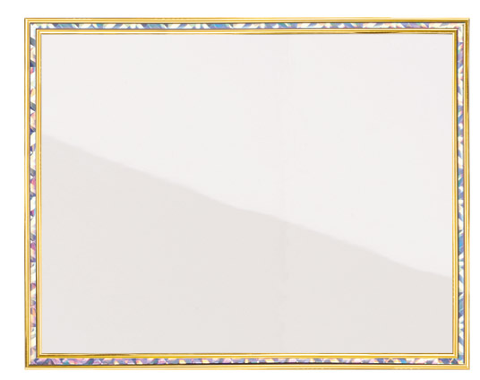HOLOGRAPHIC FRAME 8-1/2" 20 STD PACK 60 MASTE